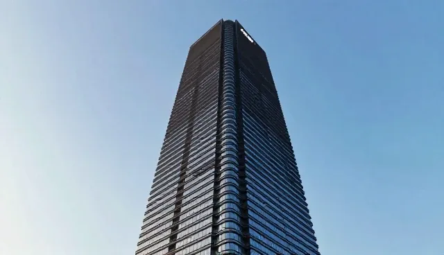 SEO技术适配中的常见问题及应对策略